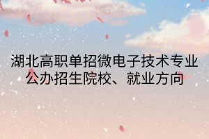湖北高職單招微電子技術(shù)專業(yè)公辦招生院校、就業(yè)方向