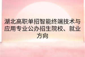 湖北高職單招智能終端技術(shù)與應(yīng)用專業(yè)公辦招生院校、就業(yè)方向