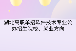 湖北高職單招軟件技術(shù)專業(yè)公辦招生院校、就業(yè)方向