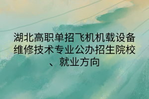 湖北高職單招飛機機載設備維修技術專業(yè)