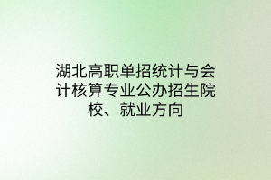 湖北高職單招統(tǒng)計與會計核算專業(yè)公辦招生院校、就業(yè)方向
