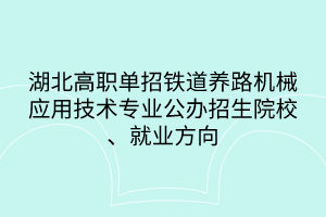 湖北高職單招鐵道養(yǎng)路機(jī)械應(yīng)用技術(shù)專業(yè)公辦招生院校、就業(yè)方向
