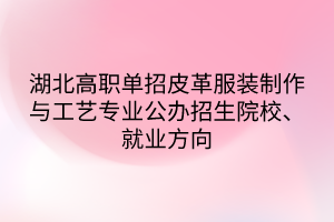 湖北高職單招皮革服裝制作與工藝專業(yè)公辦招生院校、就業(yè)方向