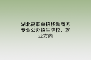 湖北高職單招移動商務(wù)專業(yè)公辦招生院校、就業(yè)方向