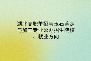 湖北高職單招寶玉石鑒定與加工專業(yè)公辦招生院校、就業(yè)方向
