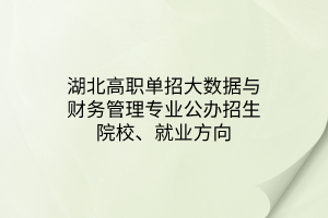 湖北高職單招大數(shù)據(jù)與財(cái)務(wù)管理專業(yè)公辦招生院校、就業(yè)方向