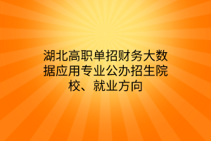湖北高職單招財(cái)務(wù)大數(shù)據(jù)應(yīng)用專業(yè)公辦招生院校、就業(yè)方向