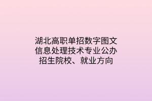 湖北高職單招數(shù)字圖文信息處理技術(shù)專業(yè)公辦招生院校、就業(yè)方向