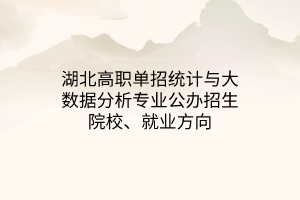 湖北高職單招統(tǒng)計(jì)與大數(shù)據(jù)分析專業(yè)公辦招生院校、就業(yè)方向