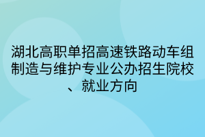 湖北高職單招高速鐵路動車組制造與維護(hù)專業(yè)