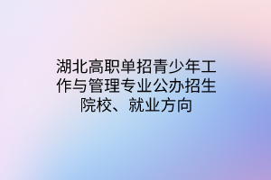 湖北高職單招青少年工作與管理專業(yè)公辦招生院校、就業(yè)方向
