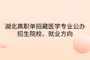 湖北高職單招藏醫(yī)學專業(yè)公辦招生院校、就業(yè)方向