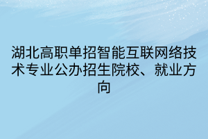 湖北高職單招智能互聯(lián)網(wǎng)絡(luò)技術(shù)專業(yè)公辦招生院校、就業(yè)方向