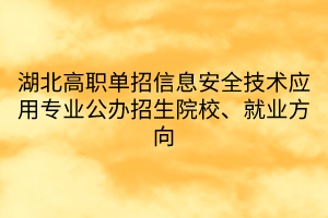 湖北高職單招信息安全技術(shù)應(yīng)用專業(yè)公辦招生院校、就業(yè)方向