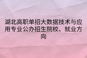 湖北高職單招大數(shù)據(jù)技術(shù)與應(yīng)用專業(yè)公辦招生院校、就業(yè)方向