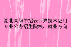 湖北高職單招云計算技術(shù)應(yīng)用專業(yè)公辦招生院校、就業(yè)方向