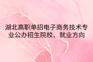湖北高職單招電子商務(wù)技術(shù)專業(yè)公辦招生院校、就業(yè)方向
