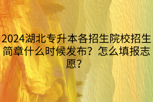 2024湖北專升本各招生院校招生簡(jiǎn)章什么時(shí)候發(fā)布？怎么填報(bào)志愿？(1)