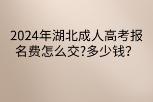 默認標題__2024-04-2416_32_03