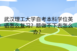 武漢理工大學(xué)自考本科學(xué)位英語(yǔ)怎么復(fù)習(xí)？題做不下去怎么辦？