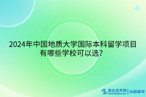 2024年中國地質大學國際本科留學項目有哪些學?？梢赃x？