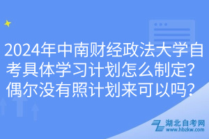 2024年中南財經(jīng)政法大學自考具體學習計劃怎么制定？偶爾沒有照計劃來可以嗎？