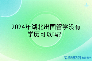 2024年湖北出國留學(xué)沒有學(xué)歷可以嗎？