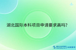 湖北國際本科項目申請要求高嗎？