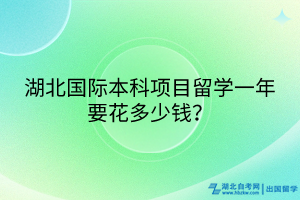 湖北國際本科項目一年要花多少錢？