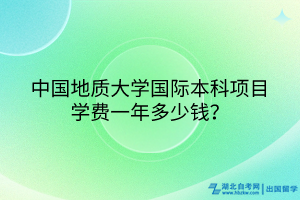 中國地質(zhì)大學(xué)國際本科項目學(xué)費(fèi)一年多少錢？