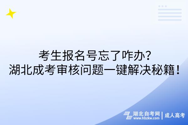 報(bào)名號忘了咋辦？湖北成考審核問題一鍵解決秘籍！