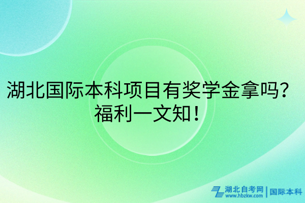 湖北國際本科項(xiàng)目有獎(jiǎng)學(xué)金拿嗎？福利大放送！