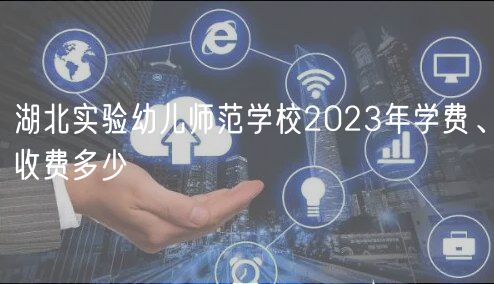 湖北實(shí)驗(yàn)幼兒師范學(xué)校2023年學(xué)費(fèi)、收費(fèi)多少