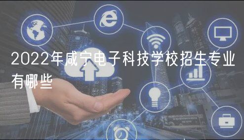 2022年咸寧電子科技學校招生專業(yè)有哪些