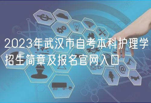 2023年武漢市自考本科護(hù)理學(xué)招生簡章及報(bào)名官網(wǎng)入口
