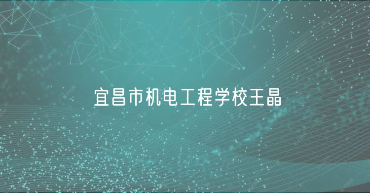 宜昌市機電工程學校王晶
