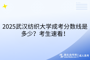2025武漢紡織大學(xué)成考分?jǐn)?shù)線是多少？考生速看！