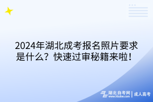 2024年湖北成考報名照片要求是什么？快速過審秘籍來啦！
