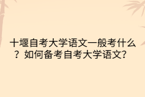 十堰自考大學(xué)語文一般考什么？如何備考自考大學(xué)語文？