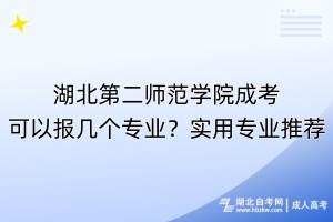 湖北第二師范學(xué)院成考可以報(bào)幾個(gè)專業(yè)？實(shí)用專業(yè)推薦