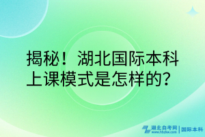 揭秘！湖北國際本科的上課模式是怎樣的？