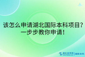該怎么申請(qǐng)湖北國(guó)際本科項(xiàng)目？一步步教你申請(qǐng)！