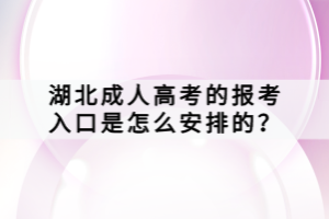 湖北成人高考的報考入口是怎么安排的？