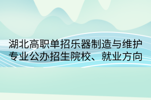 湖北高職單招樂器制造與維護(hù)專業(yè)公辦招生院校、就業(yè)方向