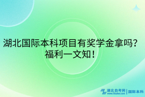 湖北國際本科項目有獎學(xué)金拿嗎？福利一文知！