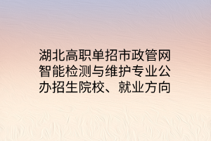 湖北高職單招市政管網(wǎng)智能檢測與維護專業(yè)公辦招生院校、就業(yè)方向