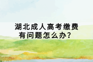 湖北成人高考繳費(fèi)有問(wèn)題怎么辦？