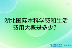 湖北國際本科學(xué)費(fèi)和生活費(fèi)用大概是多少？
