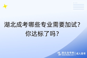 湖北成考哪些專業(yè)需要加試？你達標了嗎？