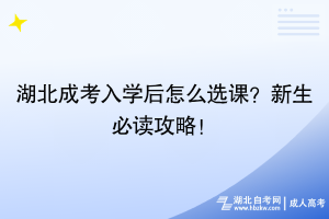 湖北成考入學(xué)后怎么選課？新生必讀攻略！